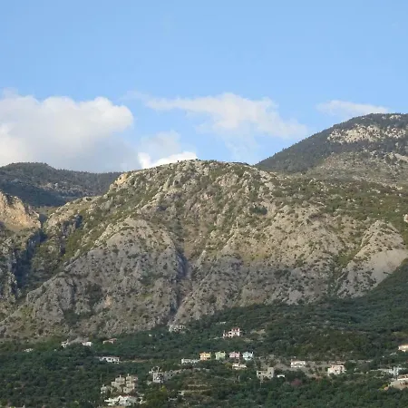 Thelgi * カラマタ